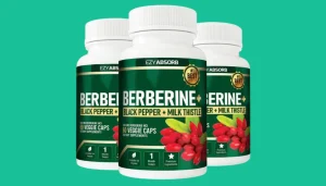 best berberine supplement